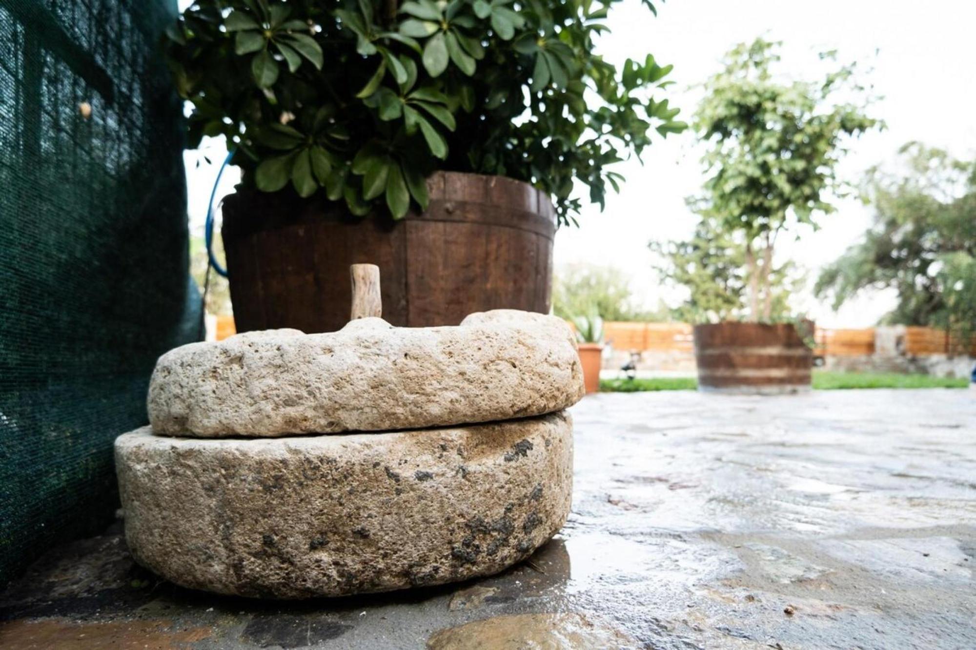 Vilă Traditional In Fres